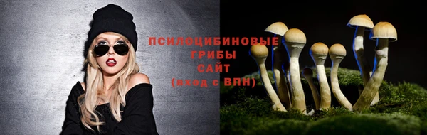 спиды Карталы
