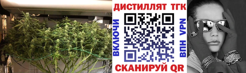 Купить где  Заводоуковск  Дистиллят ТГК THC oil 