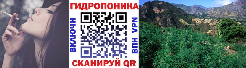 Бошки марихуана ГИДРОПОН  Купить где  Заводоуковск 